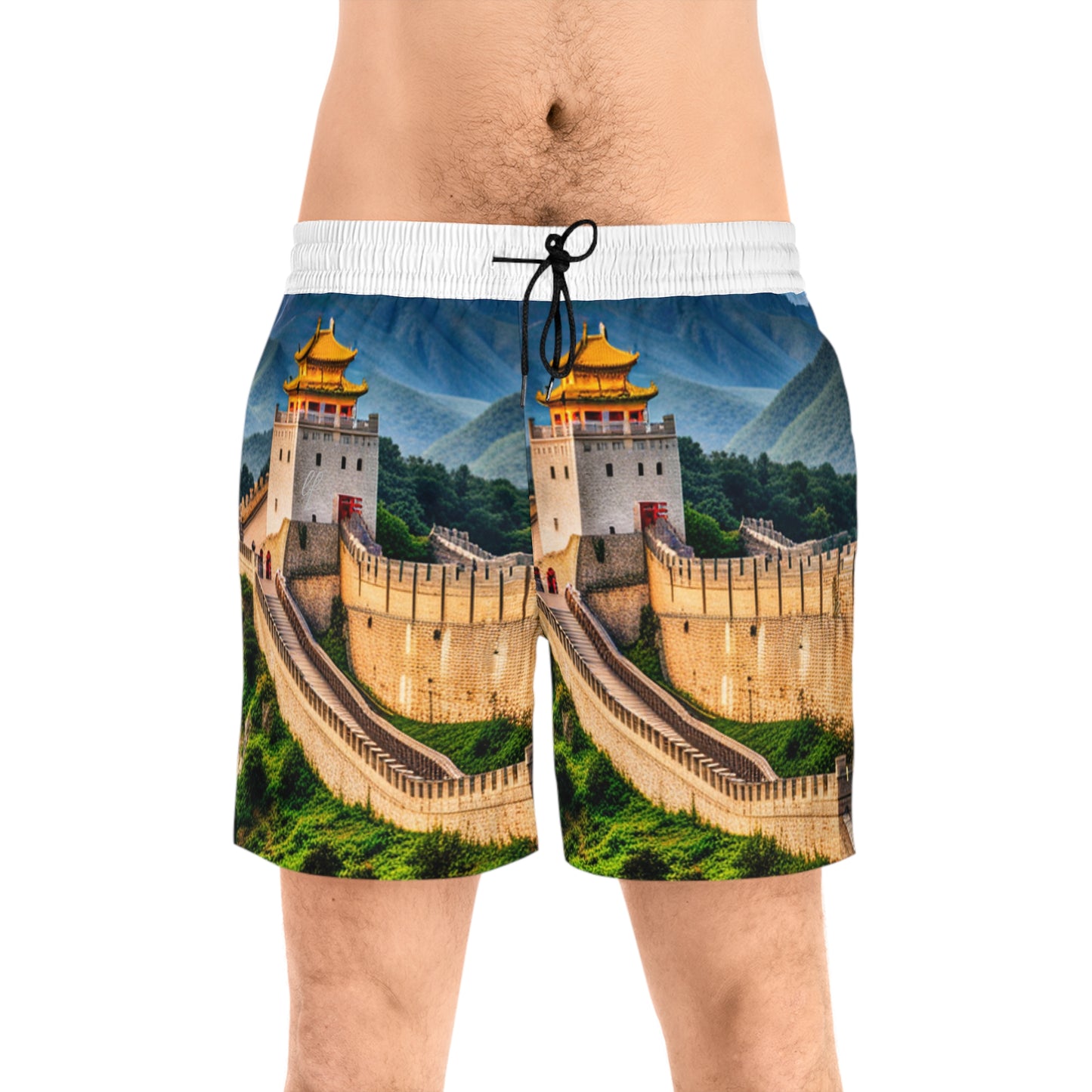 Men's Mid-Length Swim Shorts (AOP)