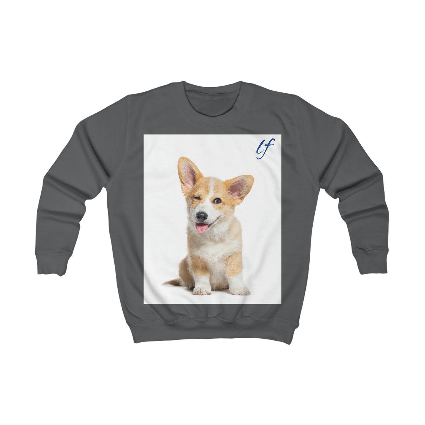 Kids Sweatshirt