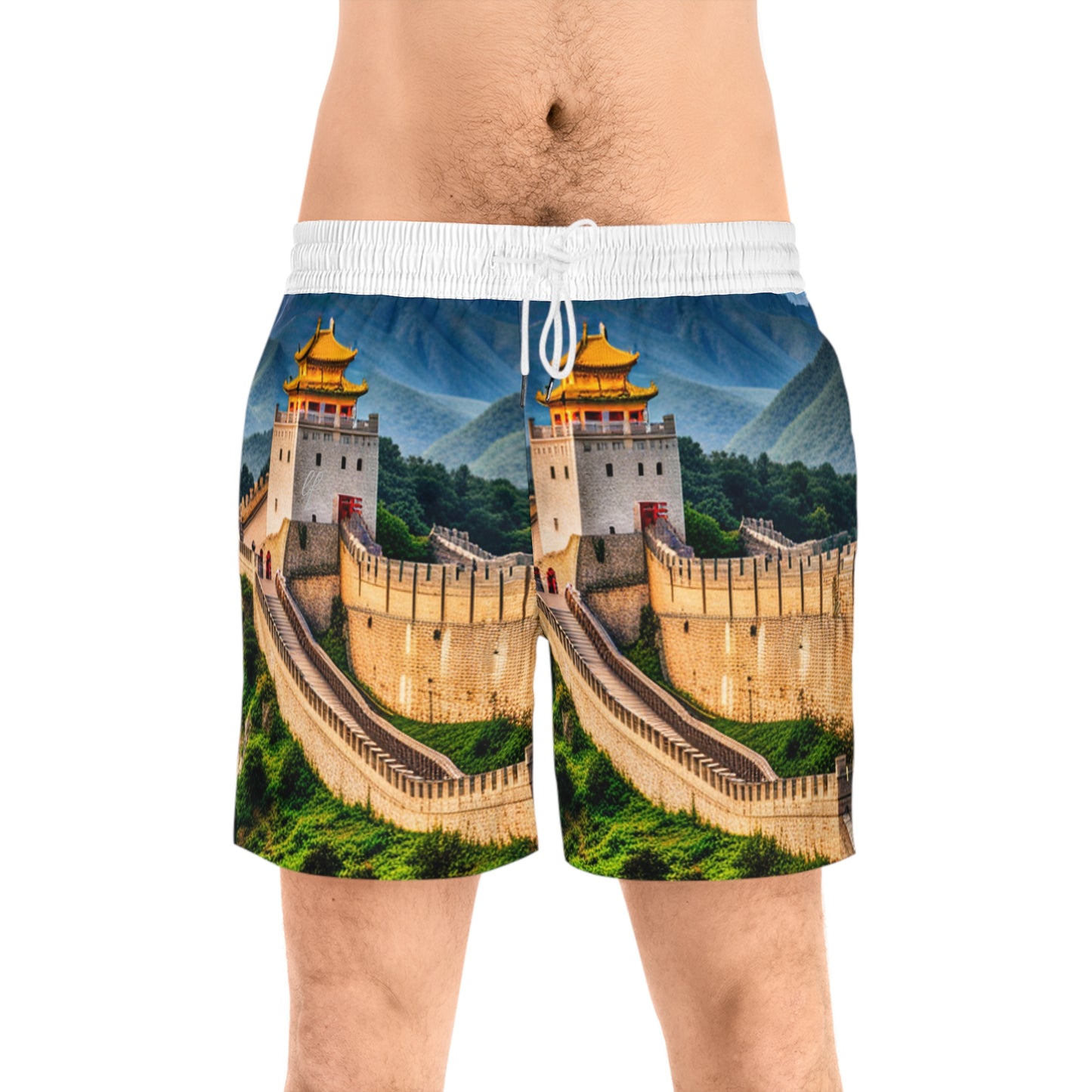 Men's Mid-Length Swim Shorts (AOP)